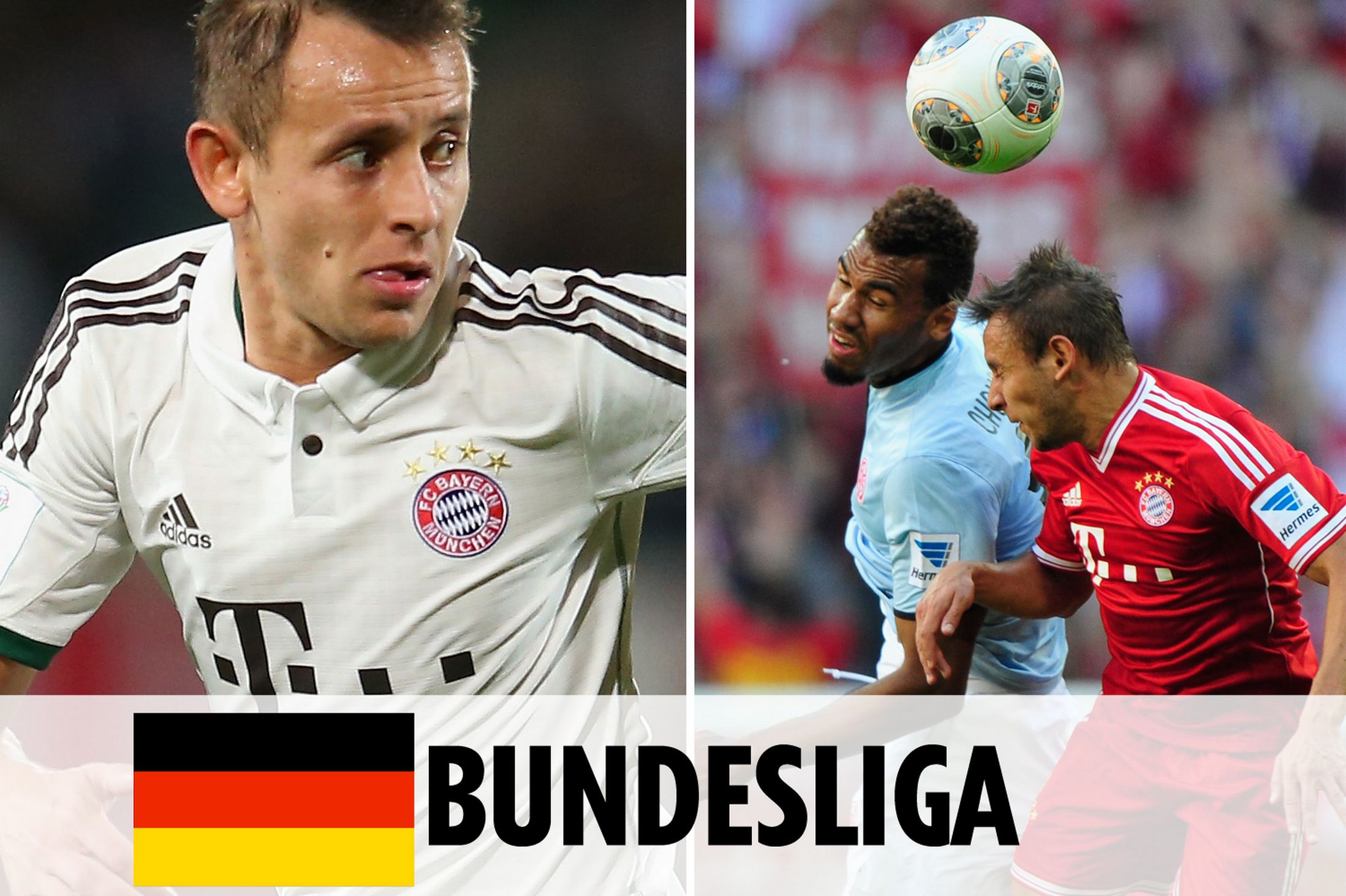 到進一步釋 到進一步釋